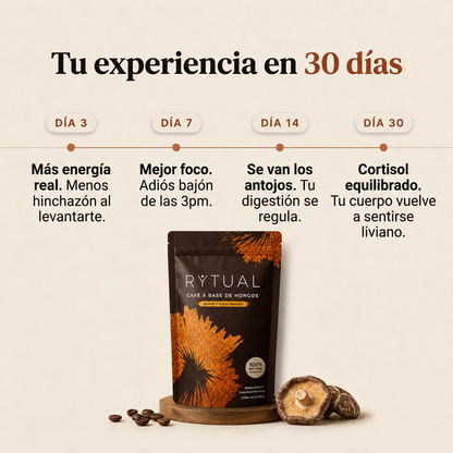 RYTUAL® - Café a base de hongos | Regulá tu cortisol, reducí tu hinchazón, recuperá tu energía.